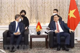 Dirigente parlamentario aboga por ampliar cooperación de empresas surcoreanas con Vietnam