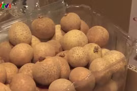 Longan vietnamita conquista al mercado europeo
