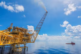 Necesitan reajustar trámites para inversión en proyectos petroleros de Vietnam