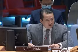 Vietnam participa en debates de la ONU sobre Sudán del Sur y Siria