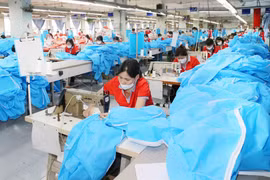 Comunidad empresarial de Vietnam propone medidas para recuperar producción