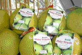 Pomelo vietnamita Phuc Trach para la venta en línea