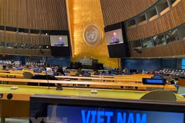 Destacan papel y reputación de Vietnam en Consejo de Seguridad de la ONU