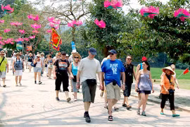 Debaten en Vietnam medidas para atraer turistas españoles en un nuevo contexto