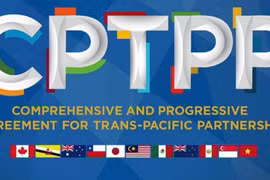 Vietnam dispuesto a compartir experiencias en adhesión al CPTPP