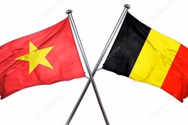 Bélgica y Vietnam fomentan cooperación en diversos aspectos