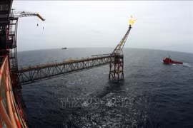 Empresa mixta Vietnam- Rusia proyecta explotar tres millones de toneladas de petróleo y gas en 2021