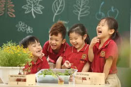 Anuncian resultados de encuesta sobre objetivos de desarrollo sostenible para niños y mujeres en Vietnam