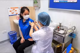 Vacunan a pilotos y azafatas de Vietnam Airlines contra el COVID-19
