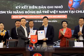Fútbol vietnamita promueve cooperación integral con la Bundesliga
