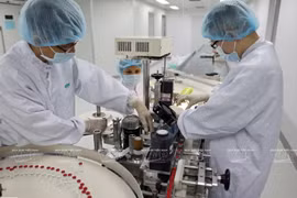 Vietnam dominará tecnologías de producción de 10 tipos de vacunas en 2025
