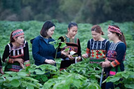 Vietnam trabaja por garantizar igualdad de género en minorías étnicas
