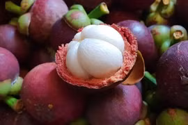 Vietnam apunta a ingresar 41 mil millones de dólares por exportaciones agrícolas en 2021