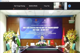Farmacia y energía renovable, entre motores de comercio Vietnam-India