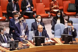Diplomática británica alaba contribuciones de Vietnam al Consejo de Seguridad de la ONU