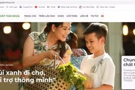 Lanzan en Vietnam sitio web "Unirse para reducir los residuos plásticos"