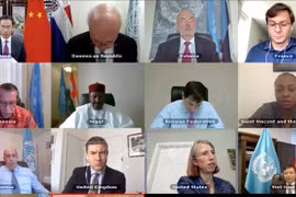 Vietnam condena ataques contra civiles en África Central y el Sahel