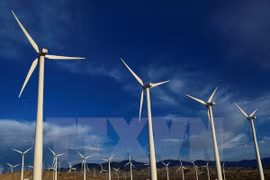 Vietnam por impulsar uso de energía renovable en pos de desarrollo sostenible
