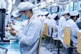 Incentivan inversiones verdes de empresas europeas en Vietnam
