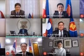 Vietnam copreside reunión del Comité Conjunto de Cooperación ASEAN-Japón