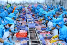 Vietnam por convertirse en centro mundial de procesamiento de mariscos