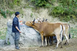 Vietnam y China intercambian experiencias sobre reducción de pobreza 