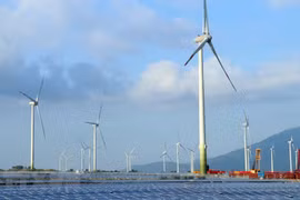 Entra en función mayor planta de energía eólica de Vietnam