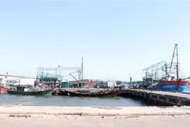 Comisión Europea aprecia los esfuerzos de Vietnam contra pesca ilegal 