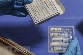 Grupo ruso Binnopharm evaluó posibilidad de Vietnam de ser autosuficiente en vacunas
