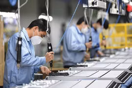 Vietnam favorece recepción de trabajadores extranjeros en medio del COVID-19