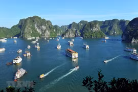 Vietnam conquista galardones en Premio Mundial de Viajes 2021