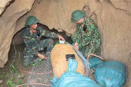 Desactivan en Vietnam bomba de 500 kilogramos remanente de guerra