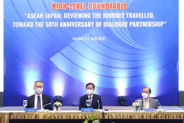 Vietnam organiza mesa redonda sobre nexos ASEAN-Japón