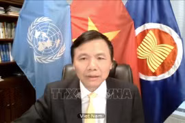 Vietnam exige mayor protección infantil en conflictos en medio de pandemia