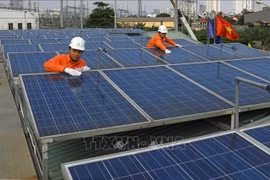 Empresas de Vietnam y Escocia impulsan cooperación en energía solar