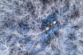 Fotógrafo vietnamita conquista premio internacional