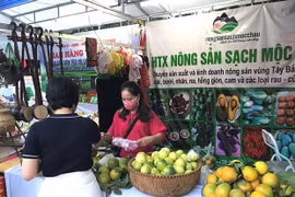 Hanoi produce y consume productos agrícolas seguros en el contexto del COVID-19