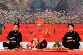 Suspenden Festival Nacional de canto Then e cordófono Tinh en Vietnam