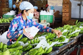 Exportadores de verduras y frutas vietnamitas deben explotar nicho de mercado de Europa del Norte 