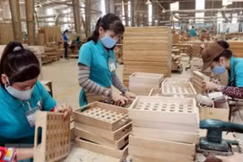 Vietnam, con gran potencial para exportar madera a Francia