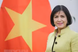 Respalda Vietnam papel del Centro del Sur en impulso de cooperación entre país en desarrollo 