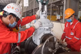 PetroVietnam garantiza sus operaciones en primeros dos meses del año