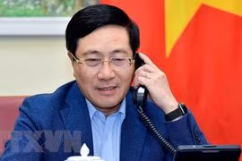 Promueven rol de la diplomacia en los nexos entre Vietnam y Nueva Zelanda 