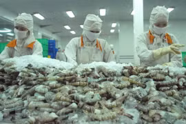 Vietnam ingresa fondo multimillonario por exportaciones agroforestales y pesqueras