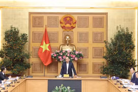 Premier vietnamita insta a Da Nang a prestar atención al trabajo de planificación