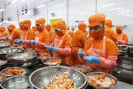 Camarón vietnamita ocupa el primer lugar en diversos mercados extranjeros