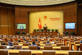 Analiza Parlamento vietnamita labor judicial y lucha anticorrupción