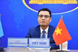 Vietnam llama a poner fin a la guerra y proteger a niños en conflictos armados 