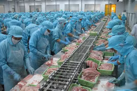 Vietnam por ingresar en 2045 al top 3 mundial de exportadores de productos acuícolas
