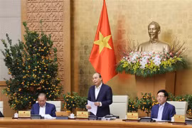 Primer Ministro de Vietnam insta a fortalecer control epidémico ante festividades del Tet